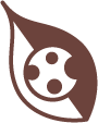 Logo d’ouverture